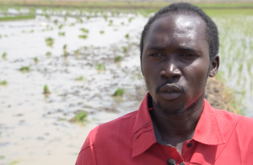 "Now I can cultivate all my rice fields because I will buy fertilizer and pay for ploughing on time and I will as well do my transplanting on time. This will increase my yield as you know farming cannot go without money.”