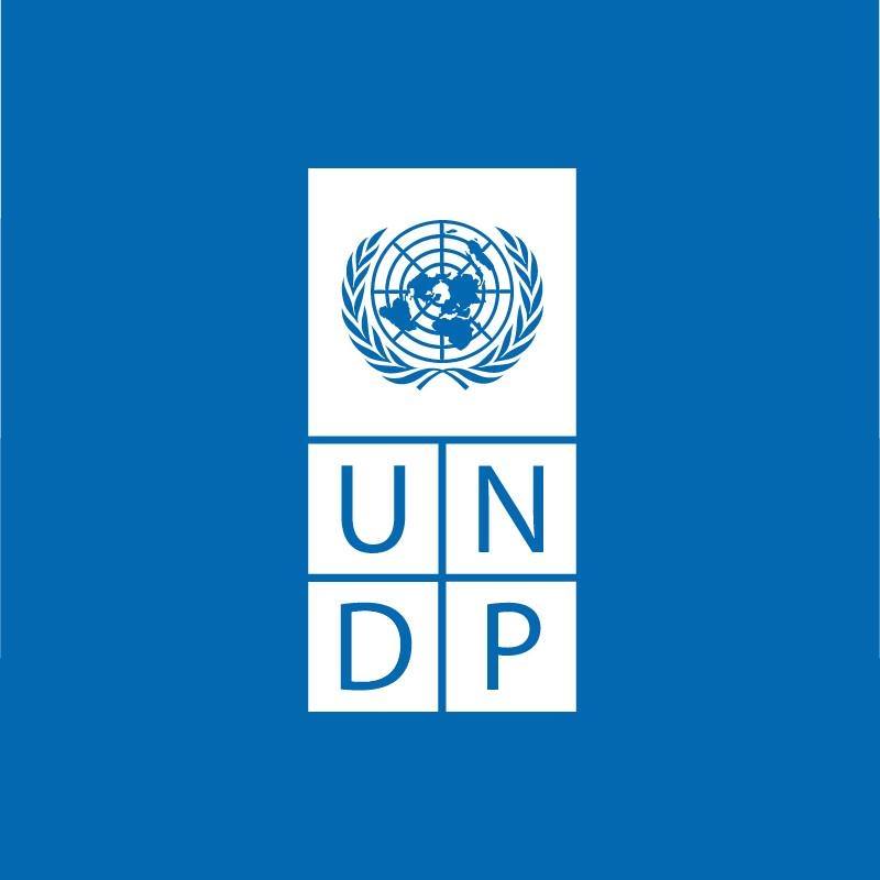 UNDP's Logo'